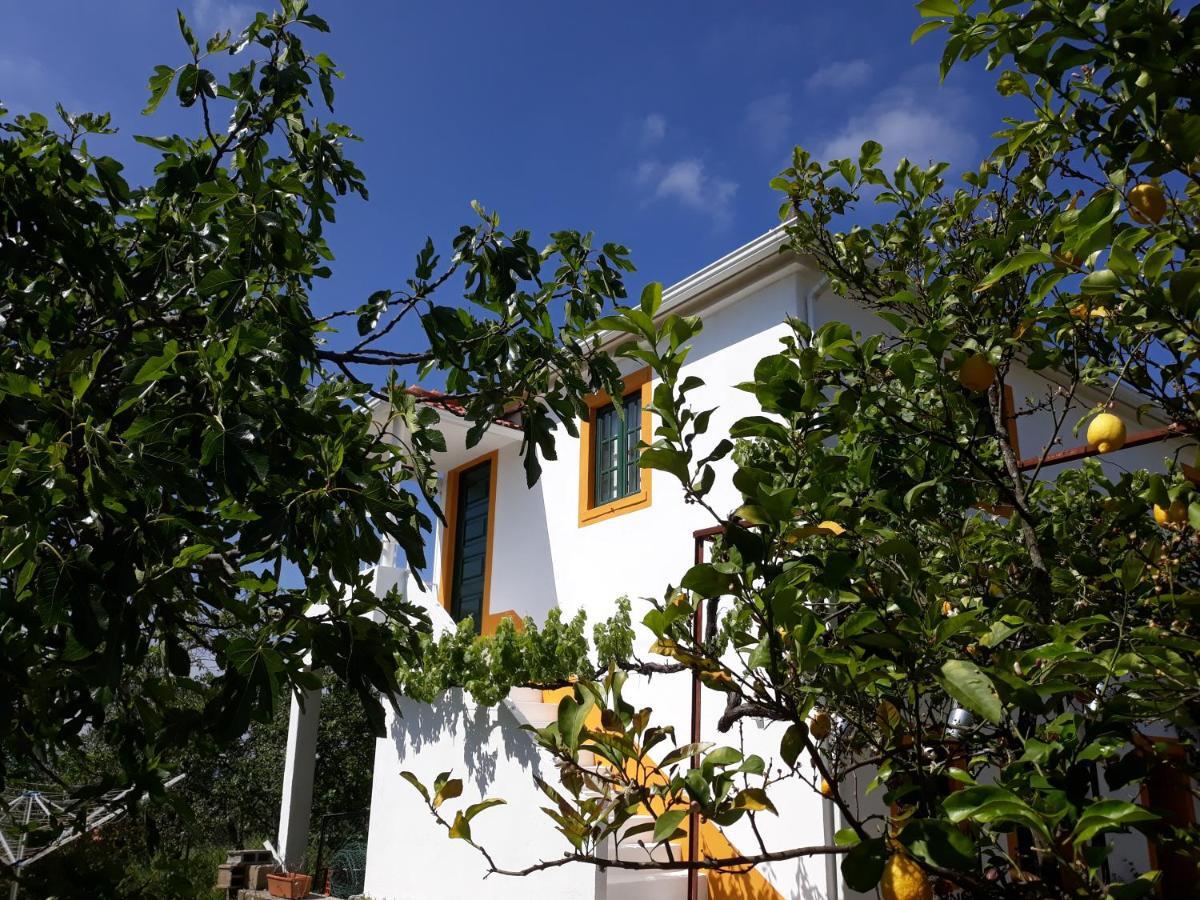 O Ninho Do Rei Leilighet Vila de Rei Eksteriør bilde